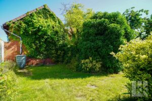 ...altem Baumbestand