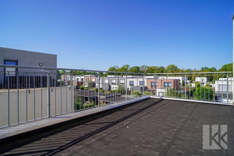 ...Zugang zur Dachterrasse (vorbereitet)